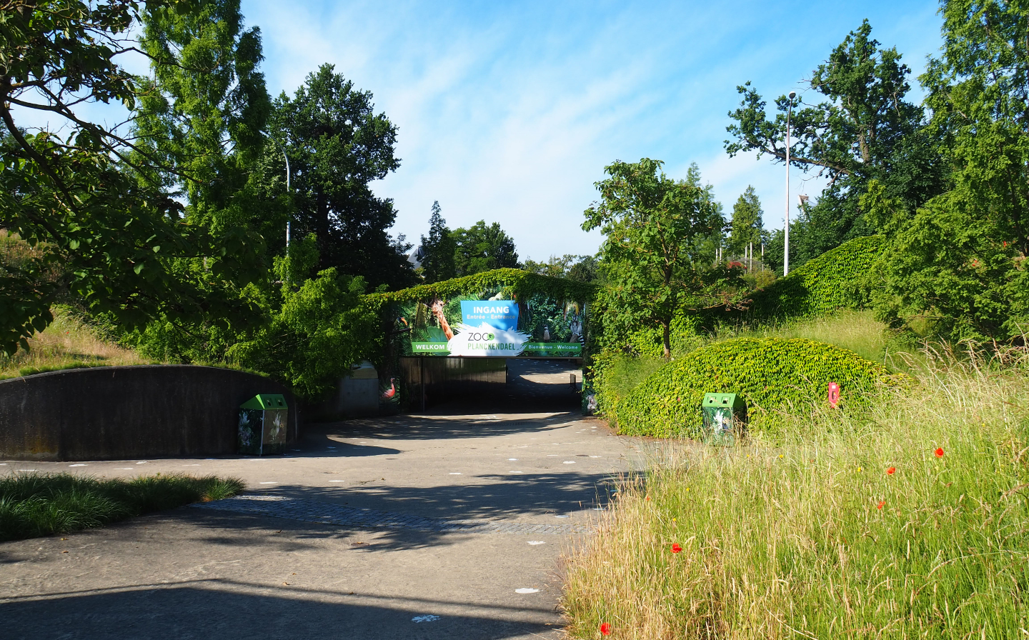 Tunnel collecting large parking lot and park, 2020-06-12
