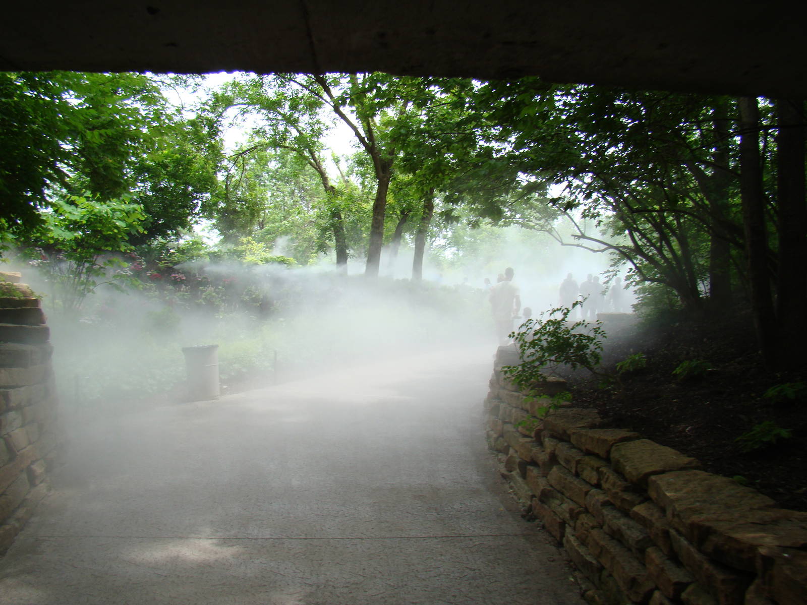 Tunnel Entrance to Africa