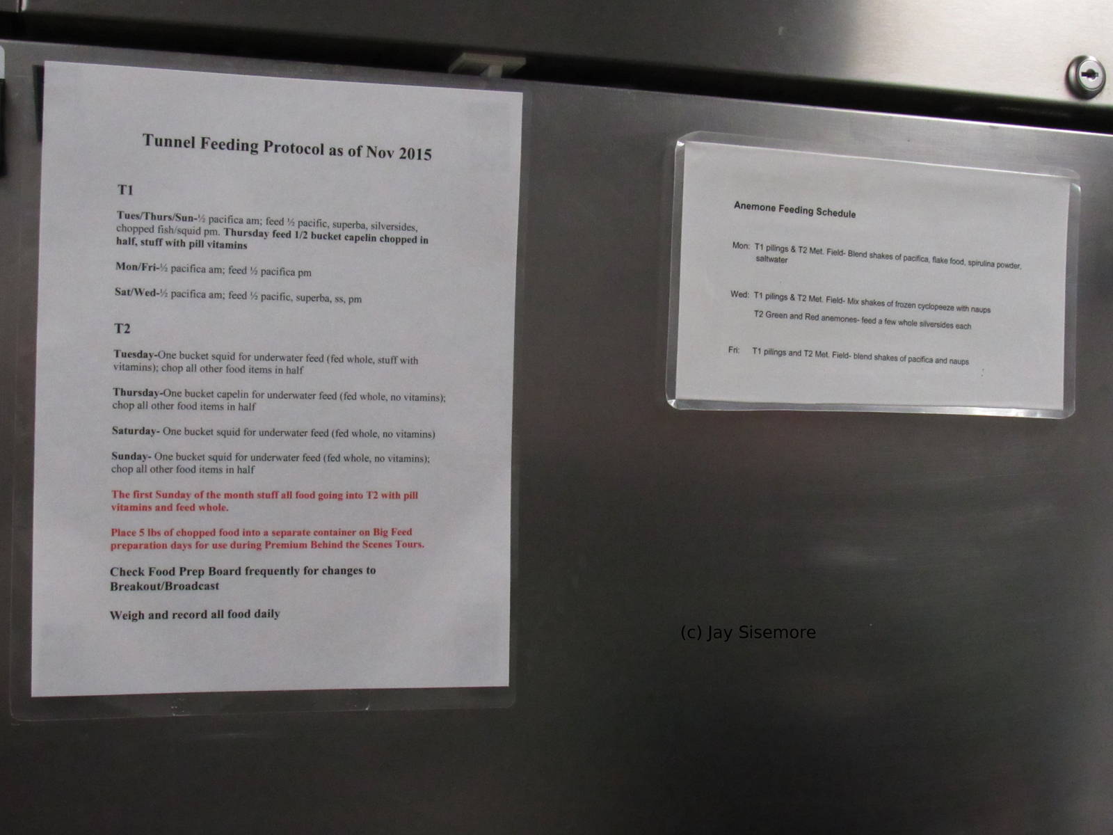 Tunnel Feeding Protocol