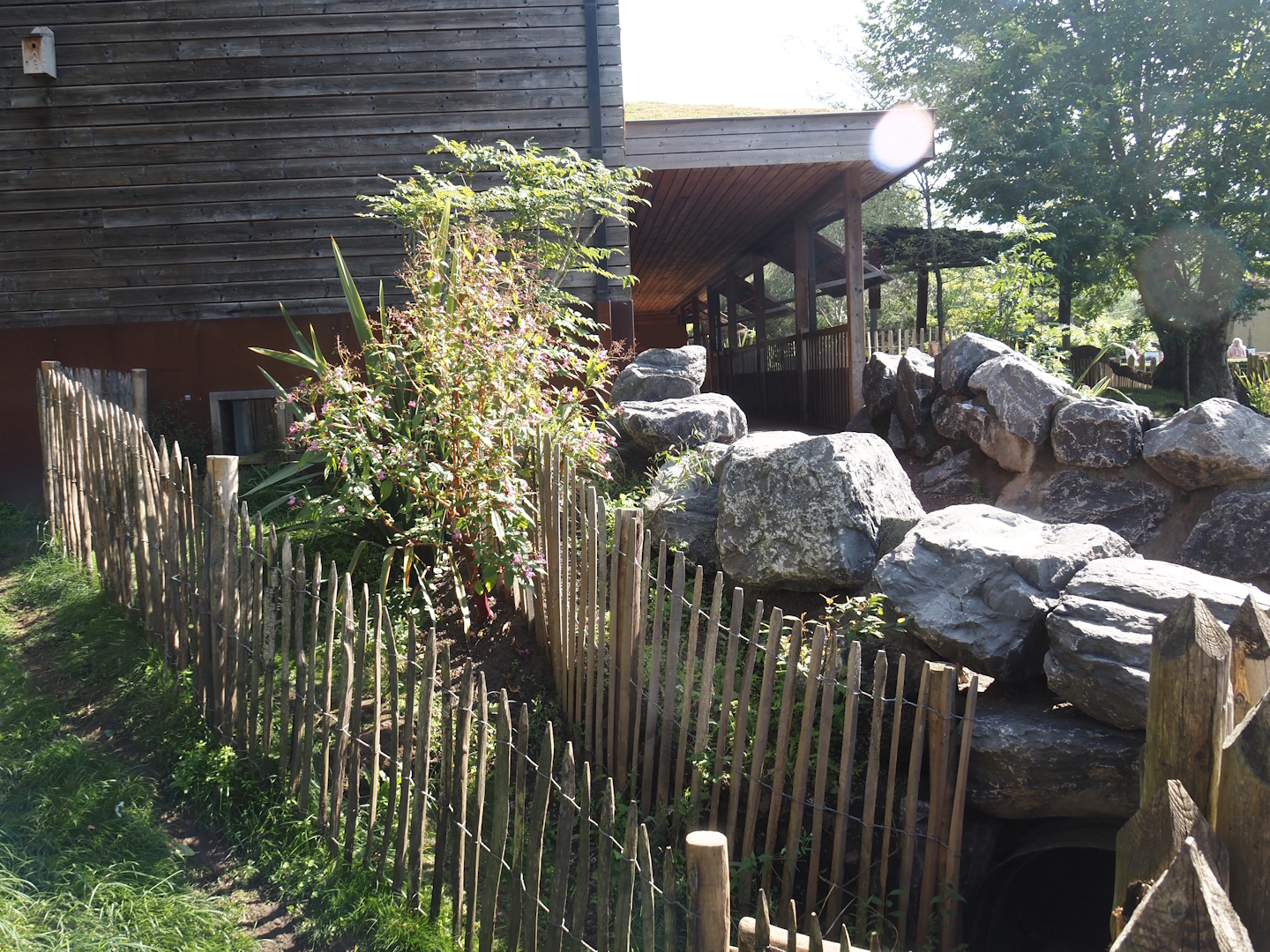 Tunnel for Brown Dorcopsis to second outdoor exhibit, under access to Marsupial and Koala house outdoor viewing area, 2024-09-17