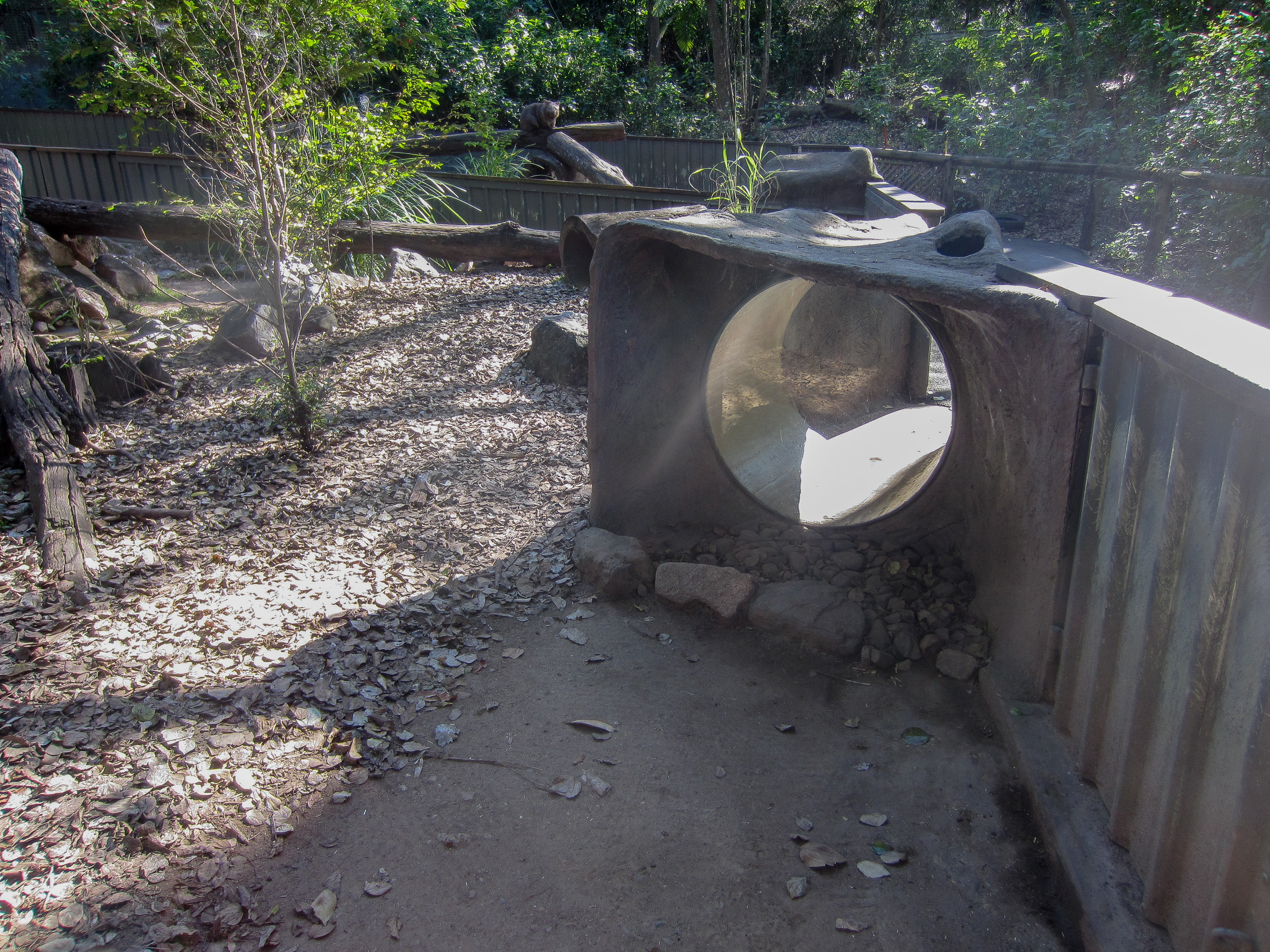 Tunnel for kids to see the wombat