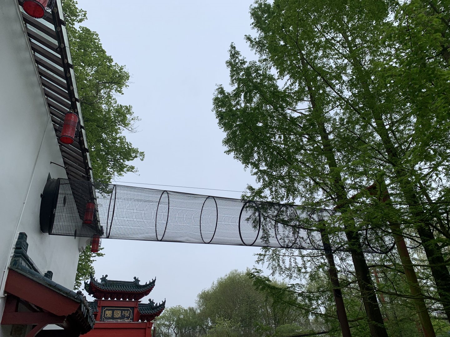 Tunnel for new monkey species to 1st indoor area