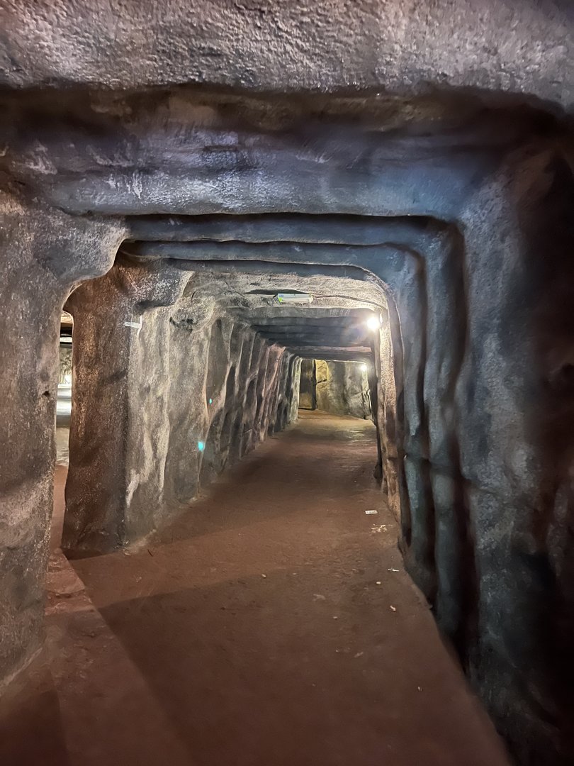 Tunnel from Bush to Desert 6.7.23