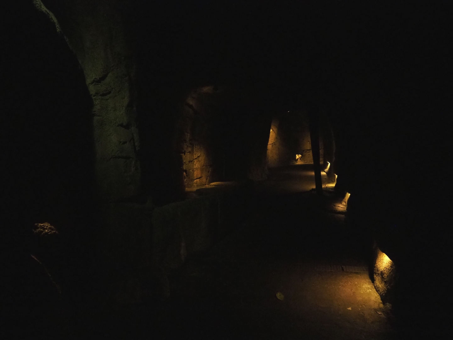 Tunnel from the Bush to the Desert (Sep 16th, 2018)