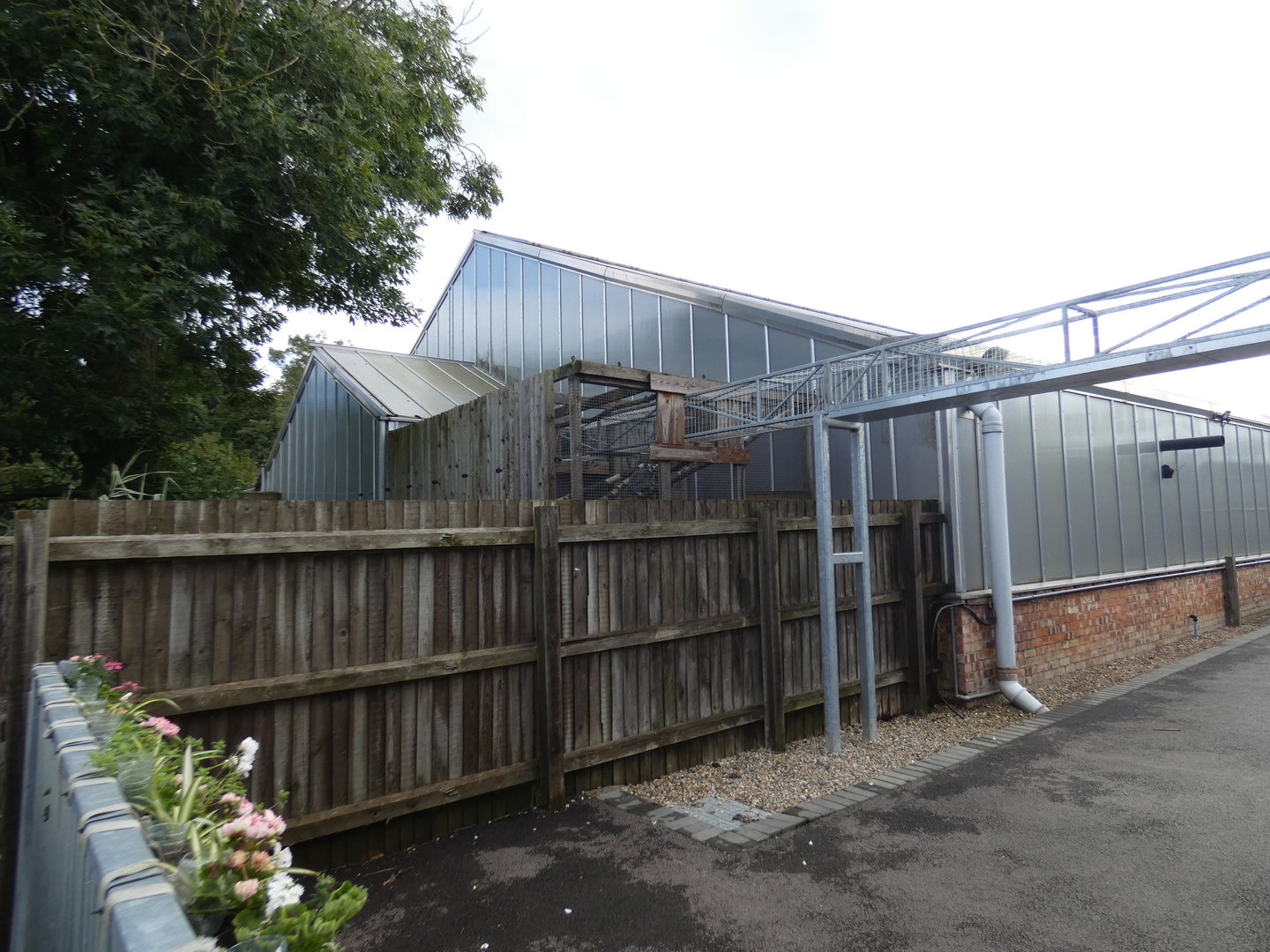 Tunnel from tropical house to lemur walk-through