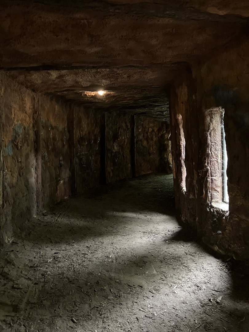 Tunnel in the bear house