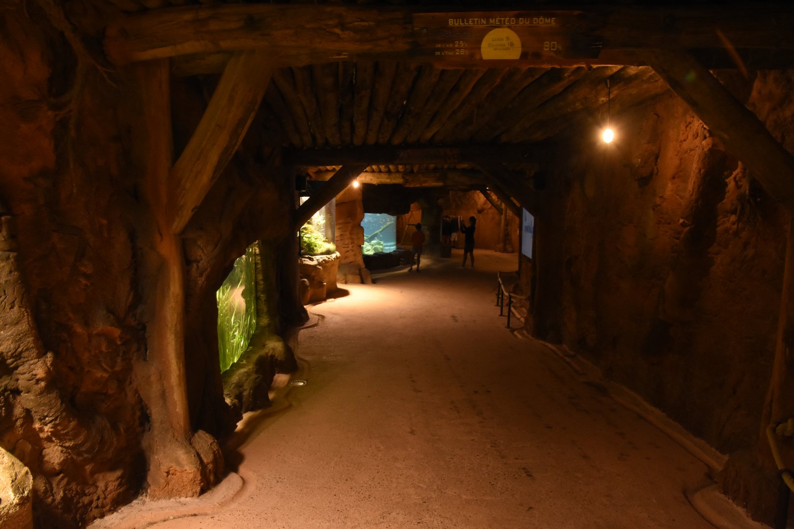 Tunnel into Equatorial Dome