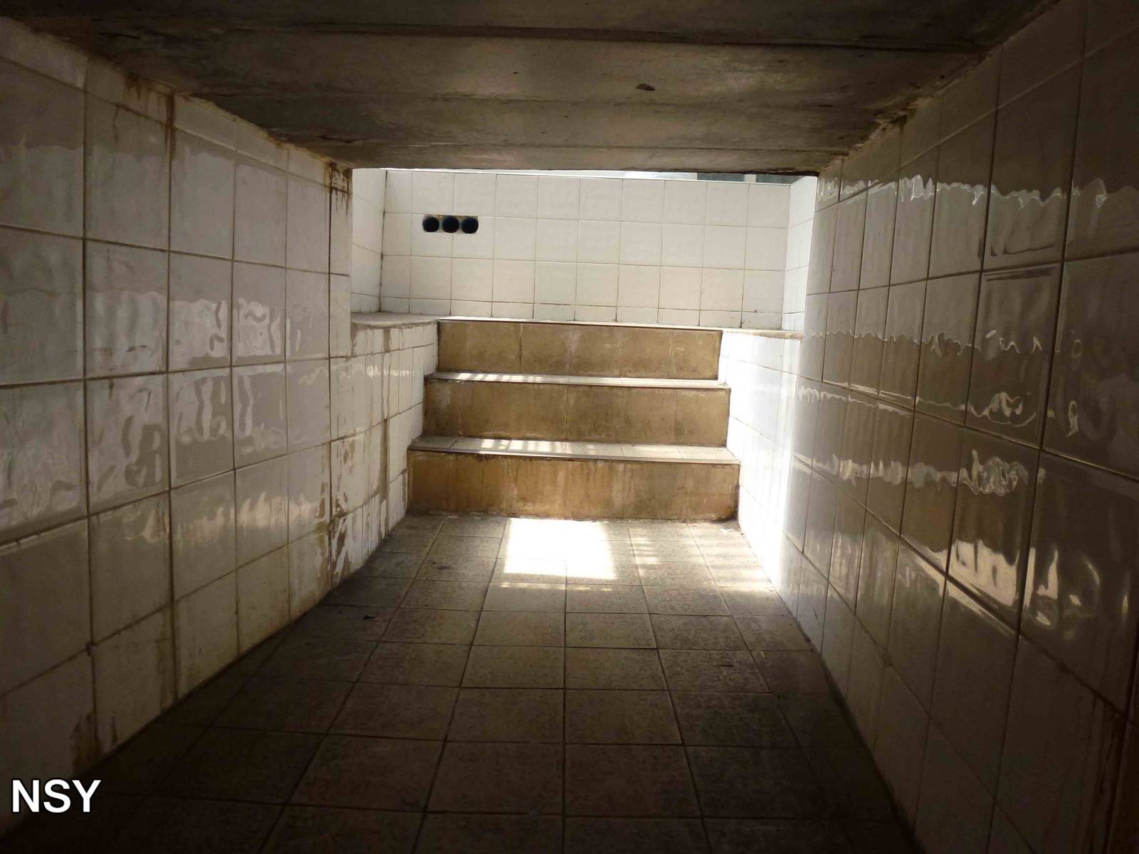 Tunnel into Tiger greenhouse, June 2013.