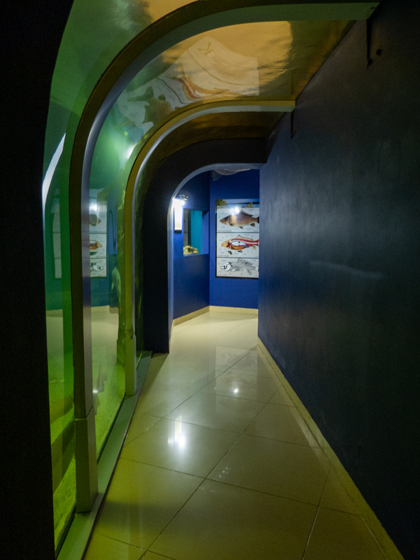 tunnel of the tank of sturgeons