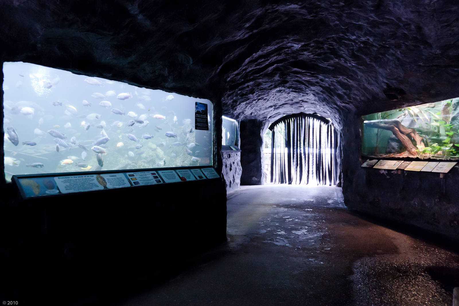 Tunnel of Underwater - Closing Day - 05/09/2010