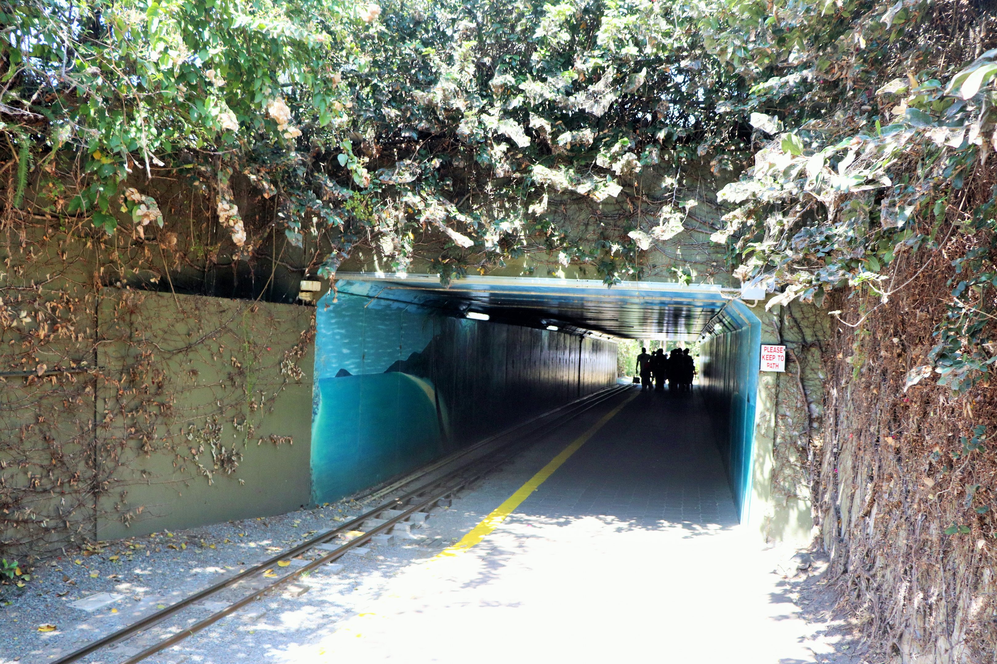 Tunnel Pathway