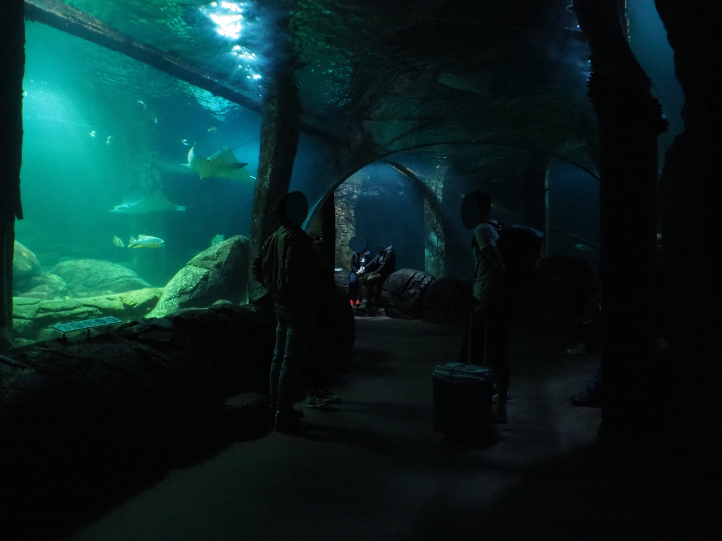 Tunnel tank (Sep 16th, 2018)