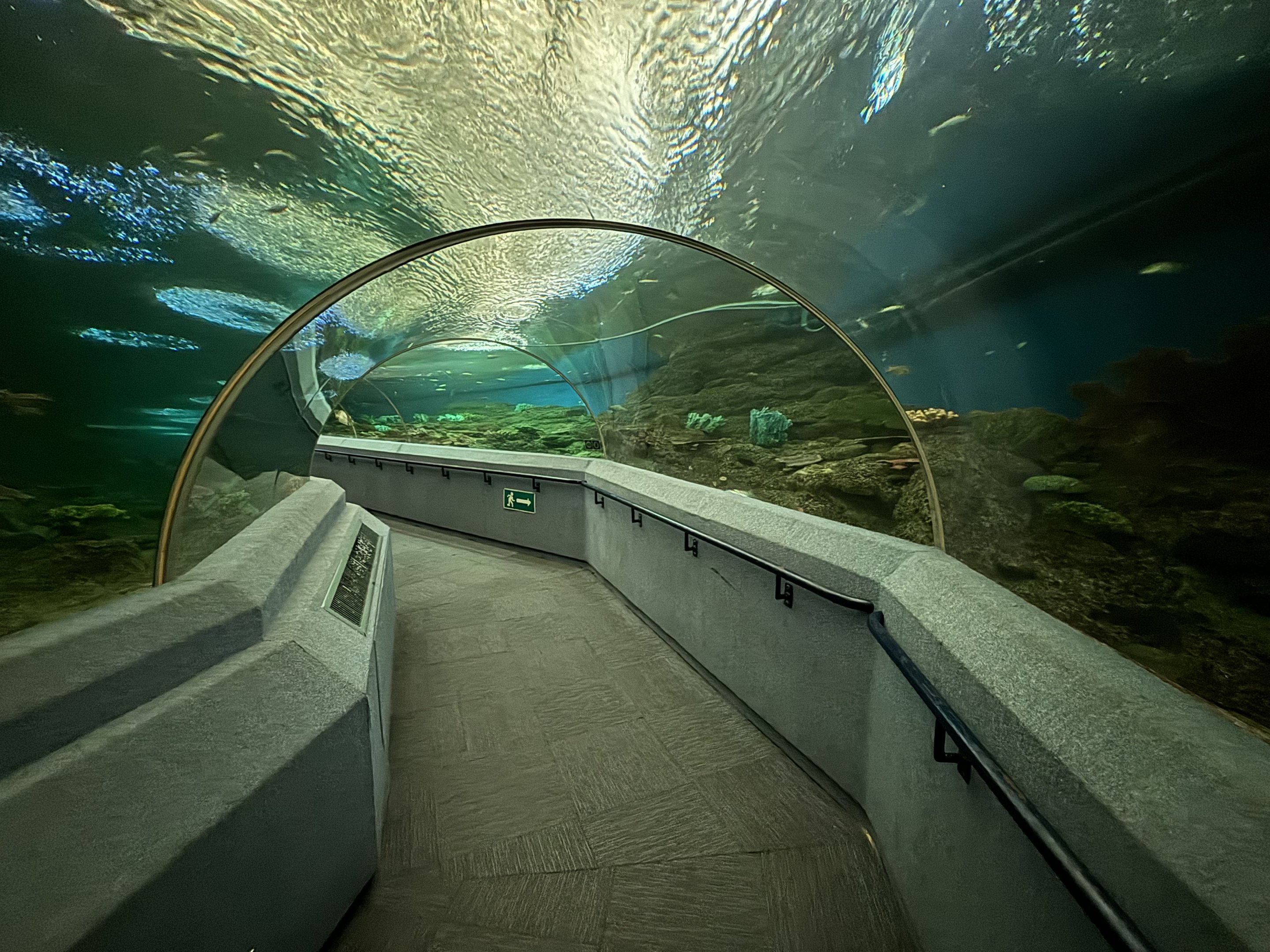 Tunnel Tank