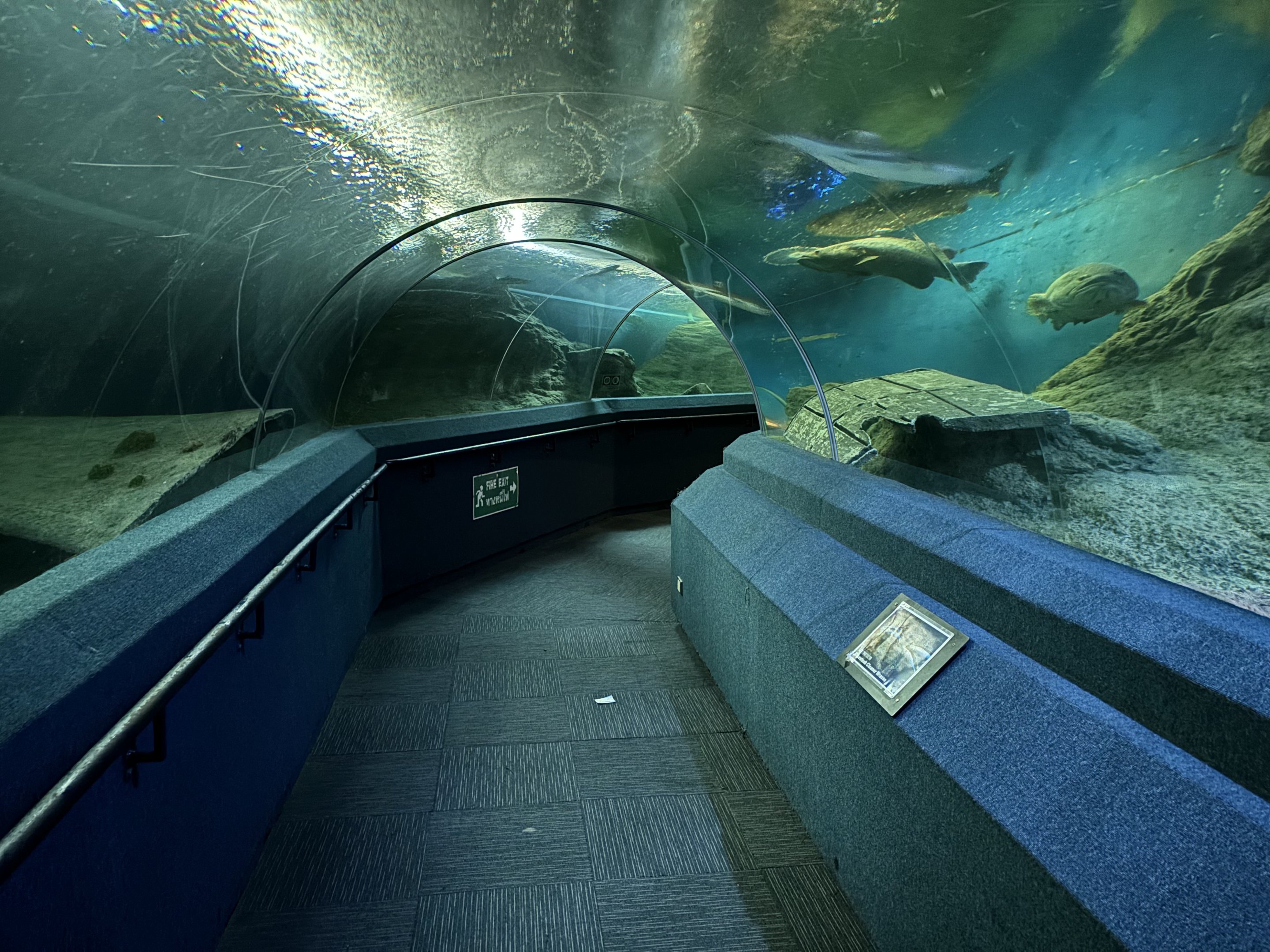 Tunnel Tank