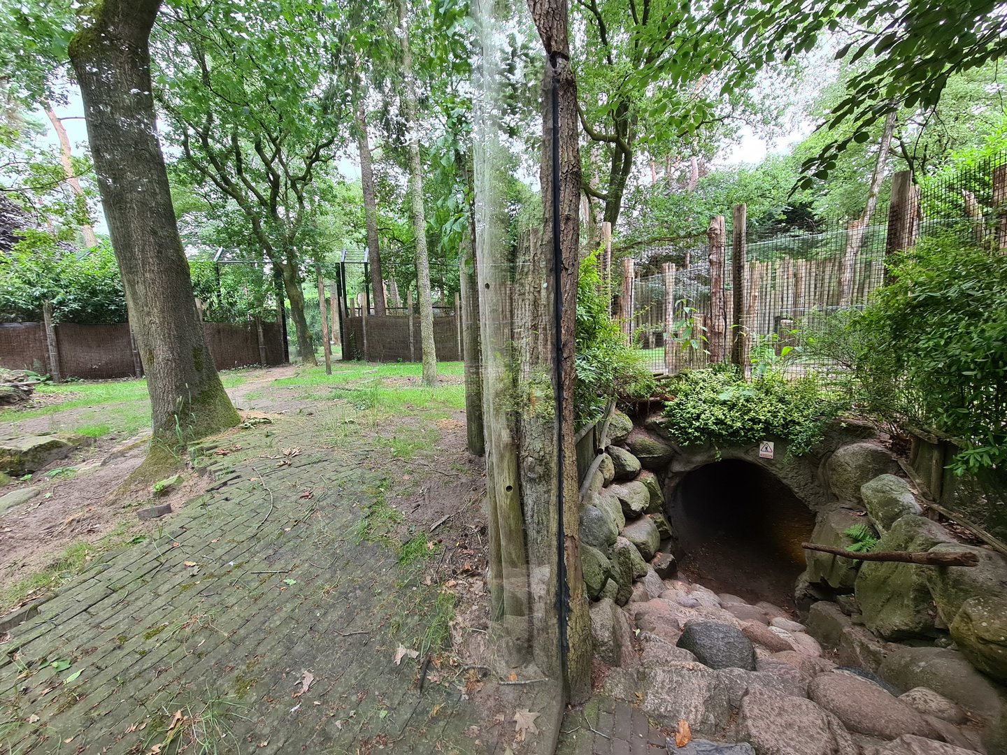 Tunnel through Hyena enclosure