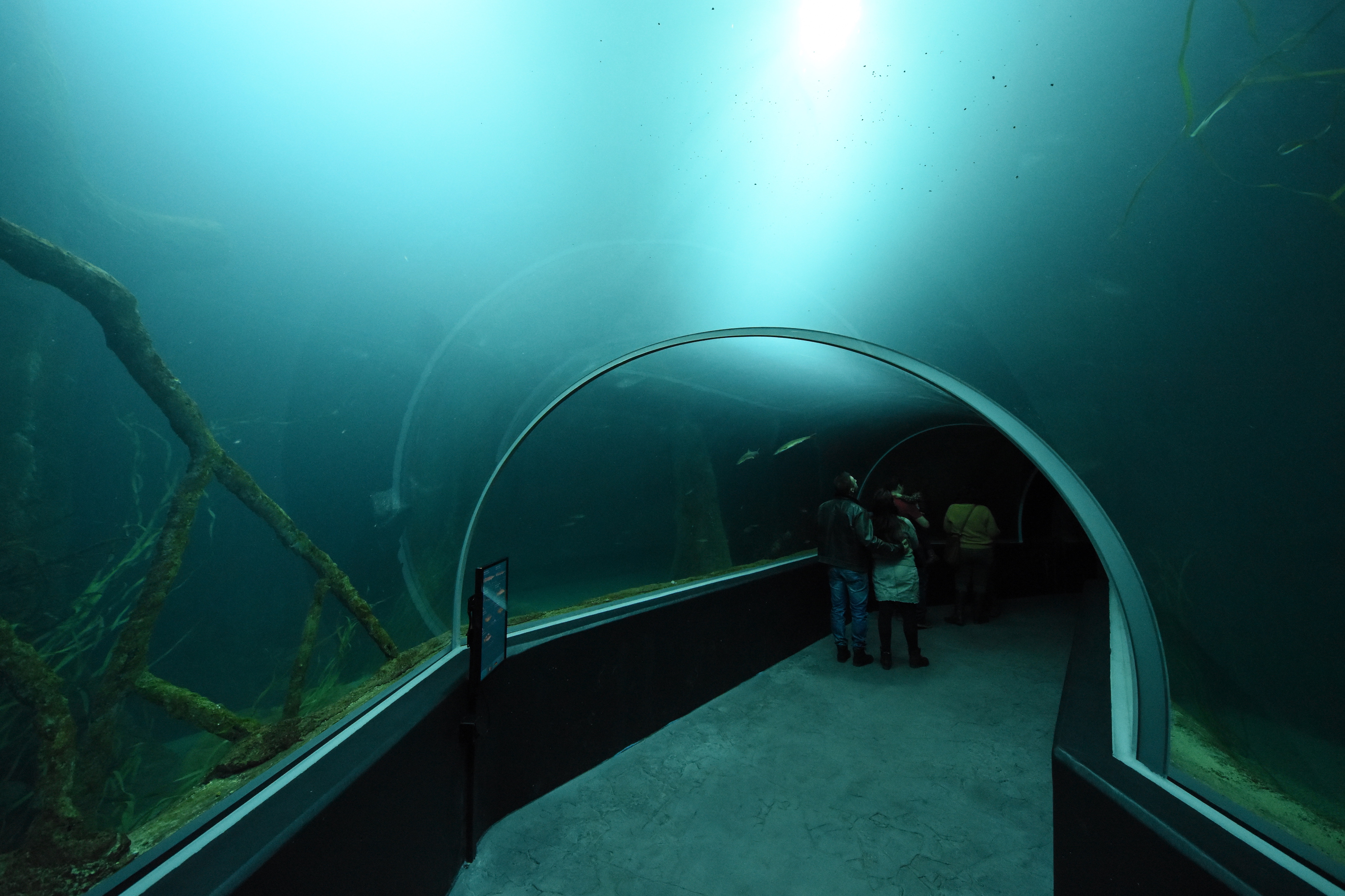 Tunnel through main tank