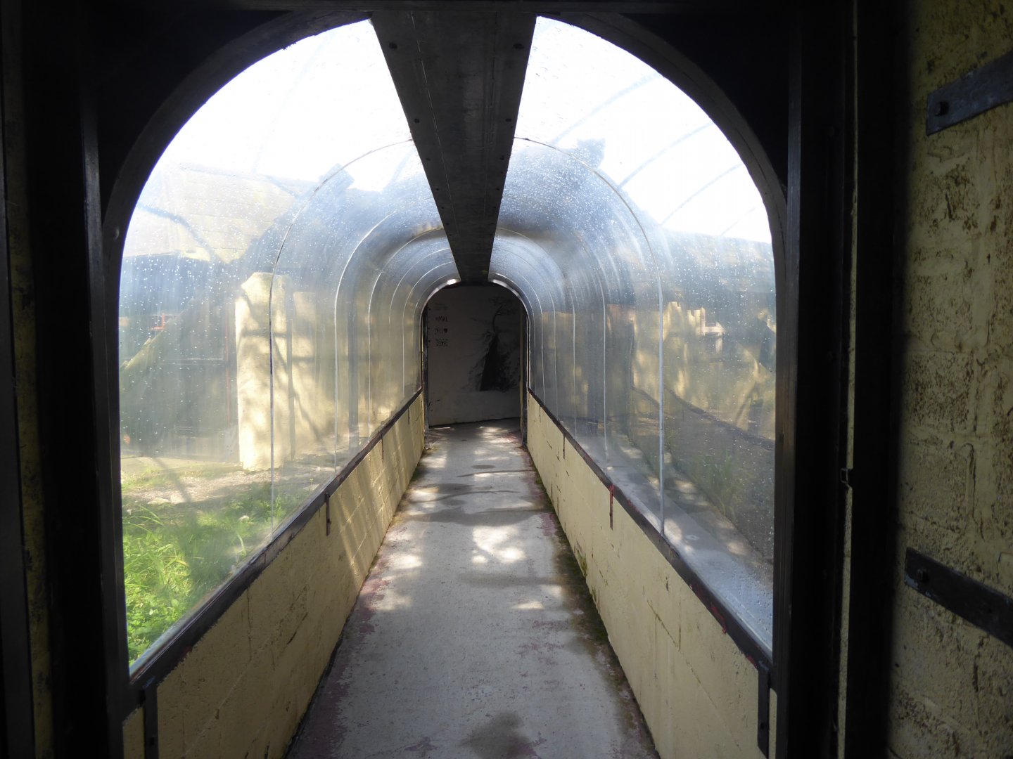 Tunnel through Snow leopard enclosure 010817