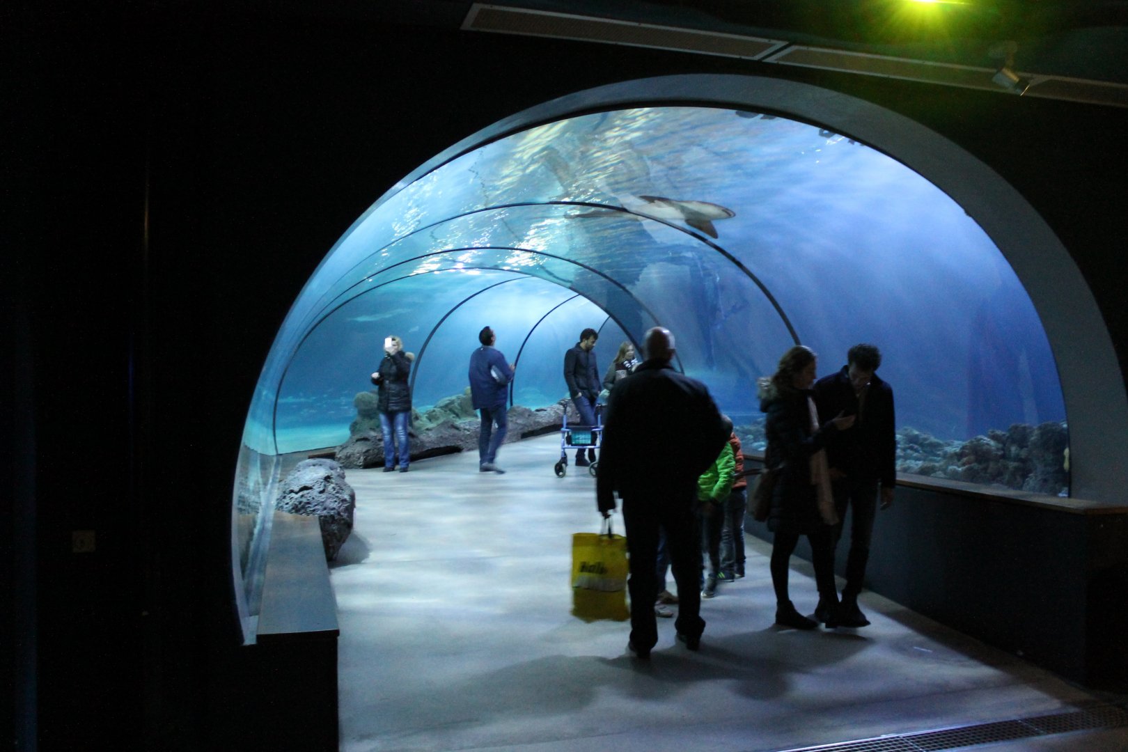 Tunnel through the Atlantic