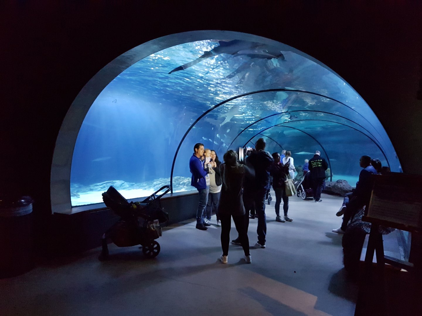 Tunnel through the Atlantic