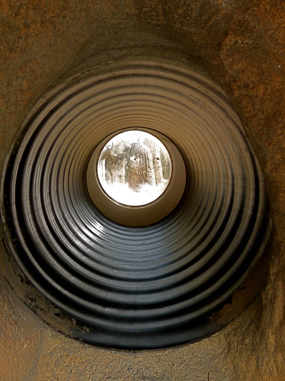 Tunnel to Meerkat Exhibit