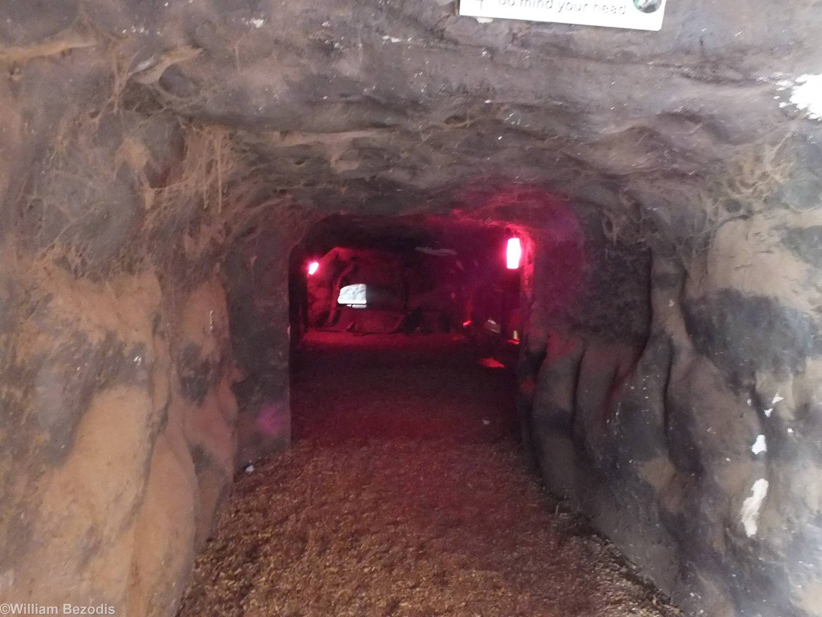 'Tunnel' to see the Badger Indoor Area