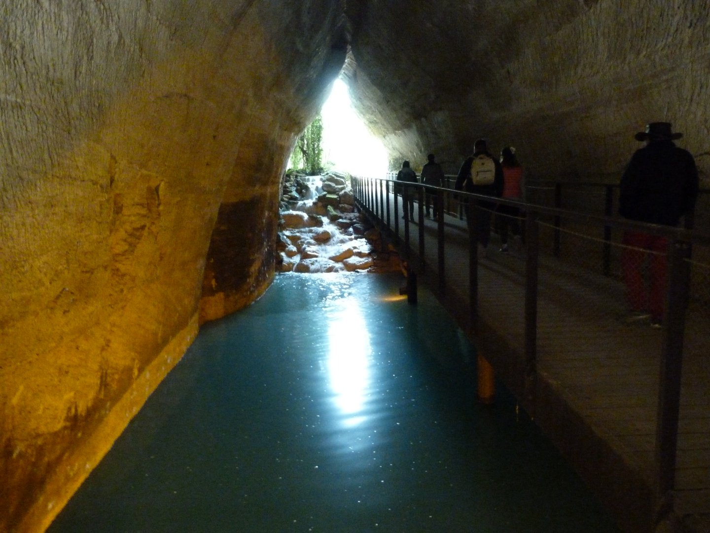Tunnel to the okapi aviary -Bioparc de Doué la Fontaine (2025)