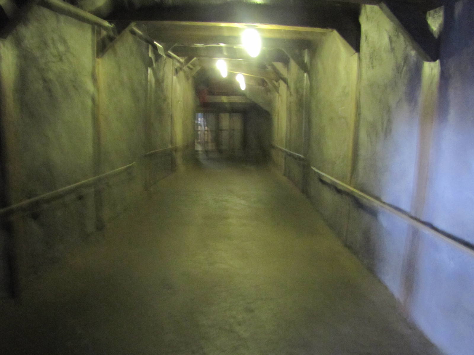 Tunnel to the Underwater Viewing Area