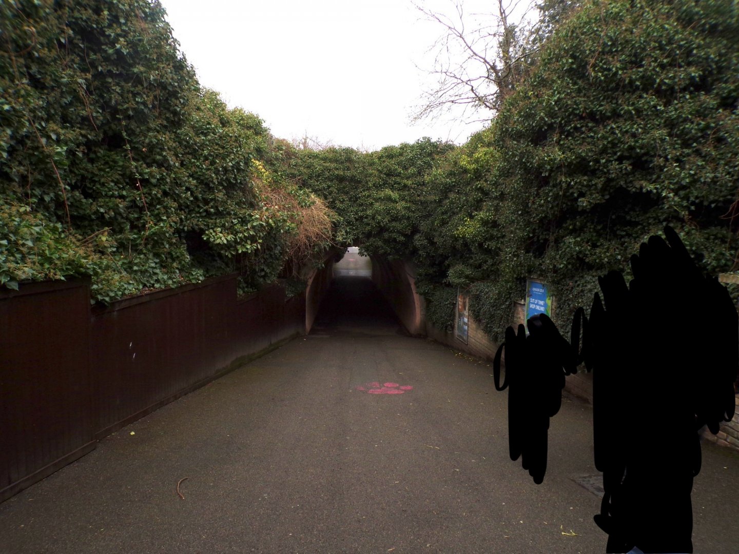 Tunnel towards other section of zoo 11.2.25