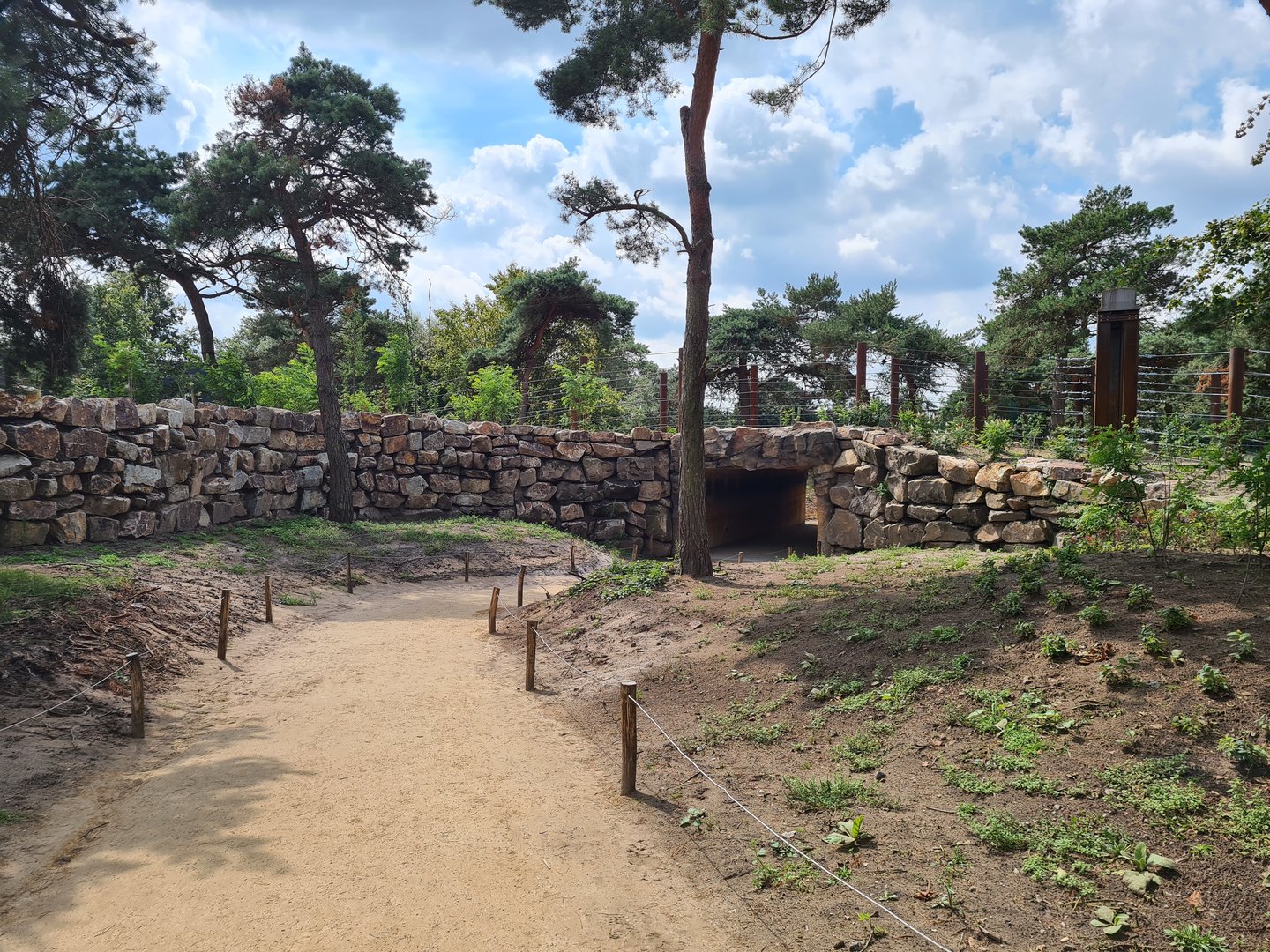 Tunnel under new Elephant valley