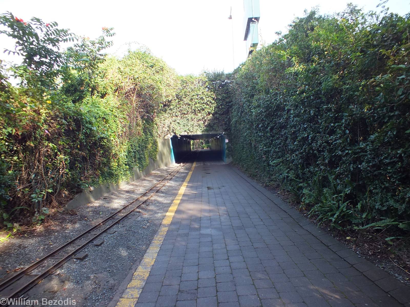 Tunnel Under Road Connecting Two Sides of Zoo