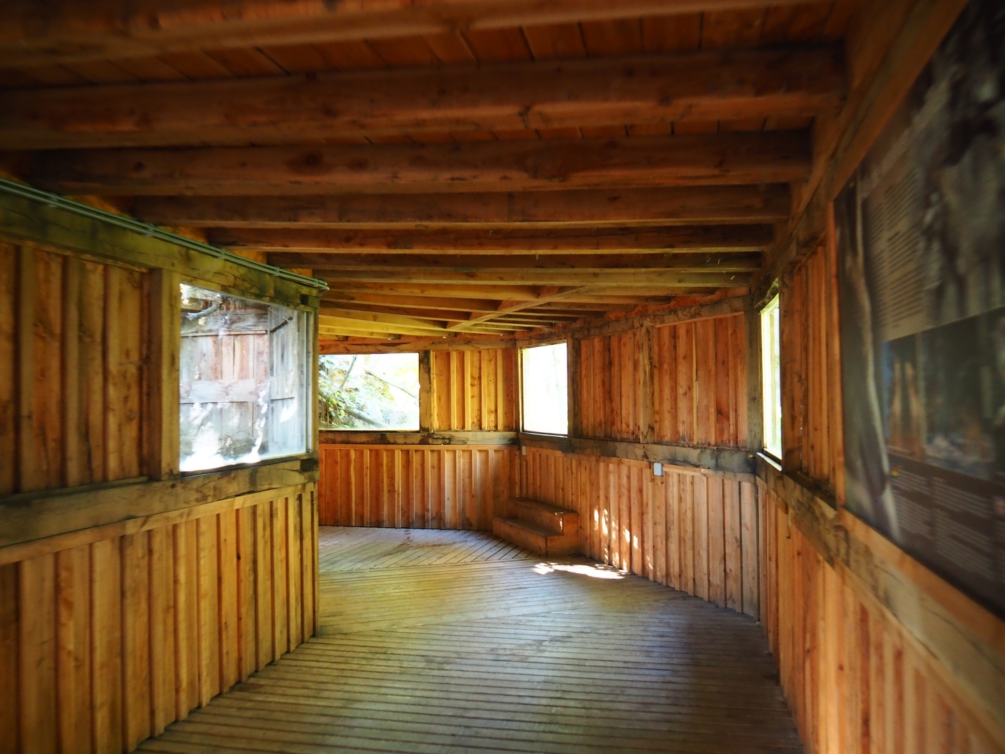 Tunnel underneath the Eurasian wolf exhibit (Oct 13th, 2018)