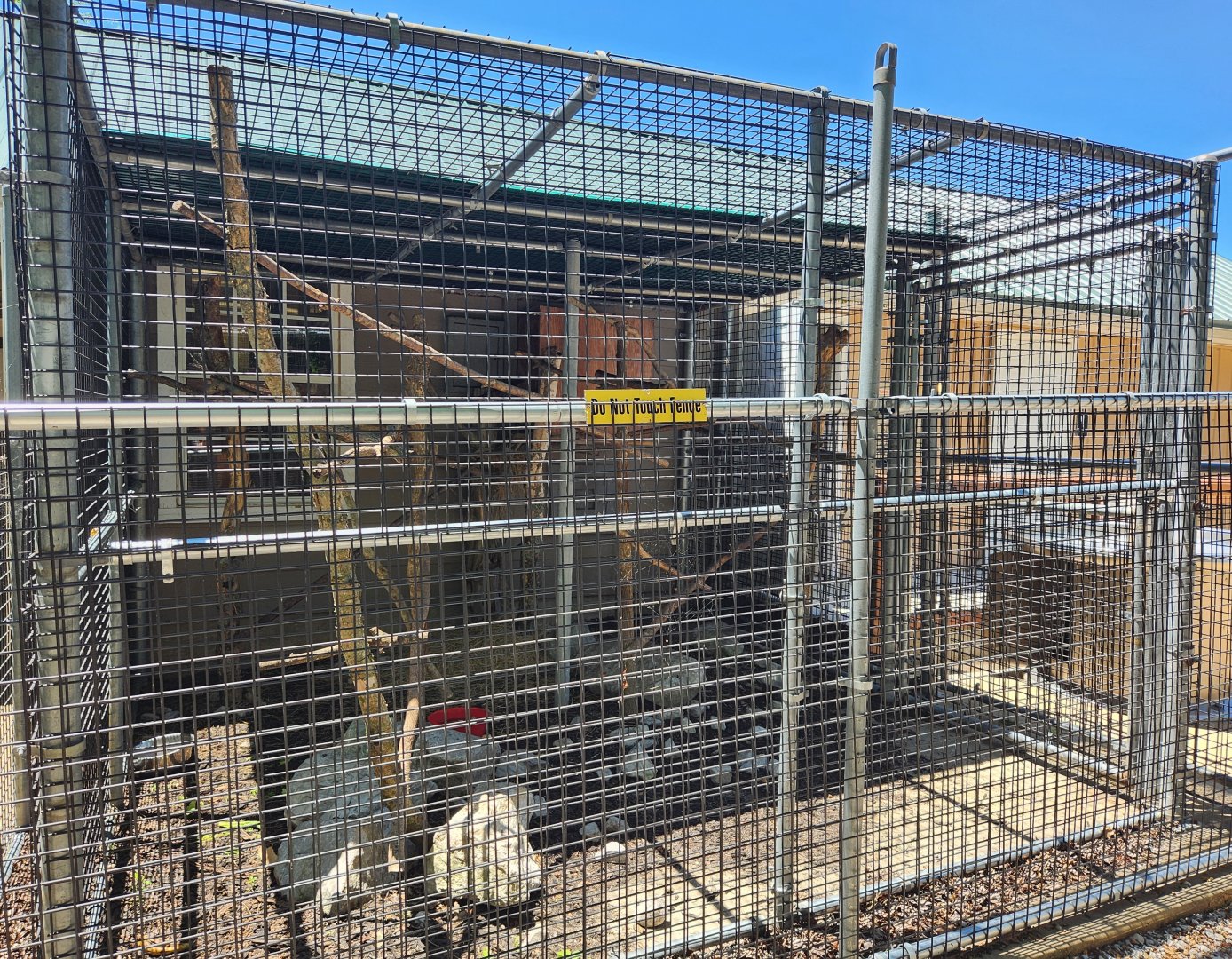 Tupelo Buffalo Park - Brazilian Porcupine enclosure