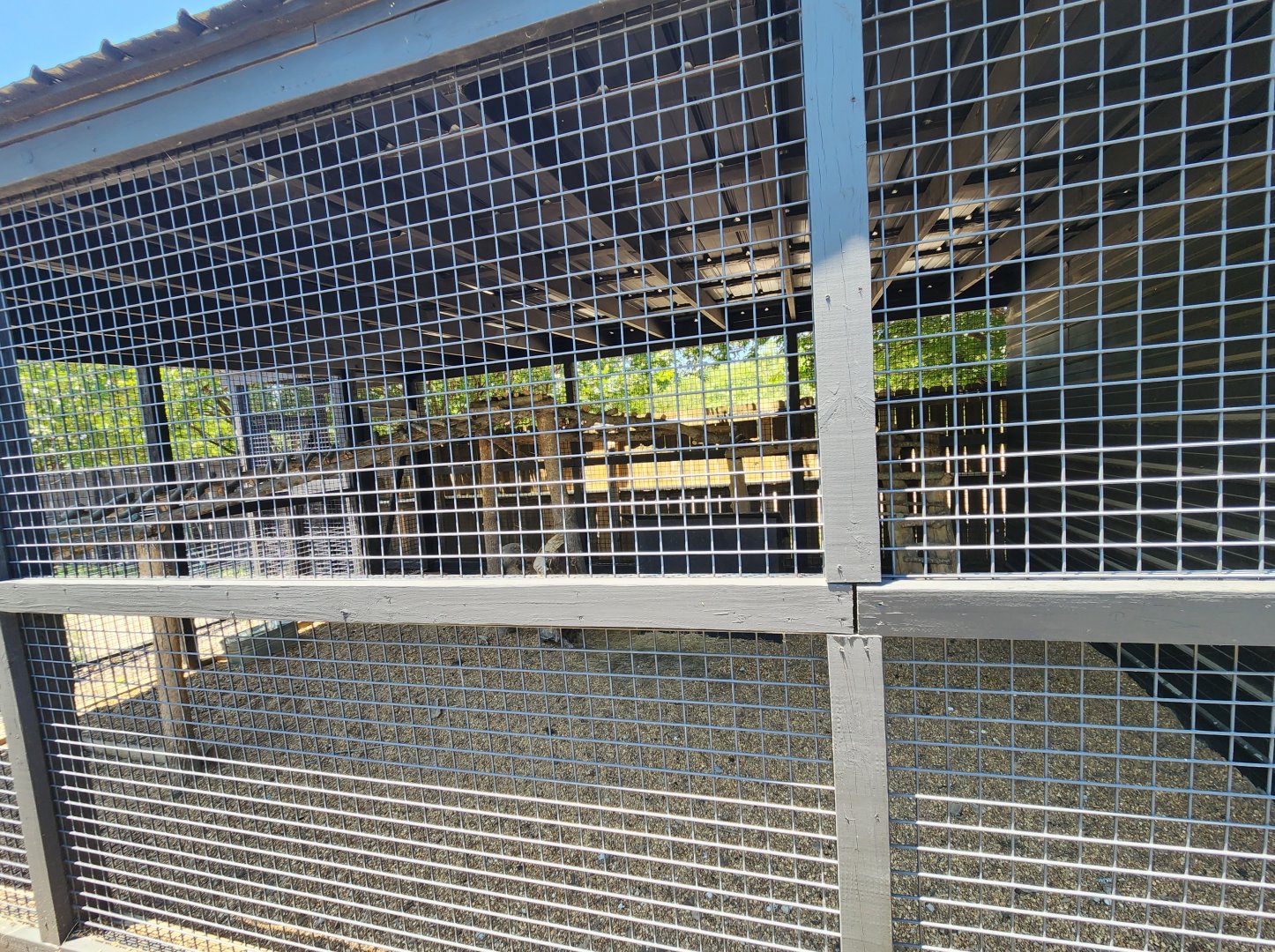 Tupelo Buffalo Park - Caracal enclosure