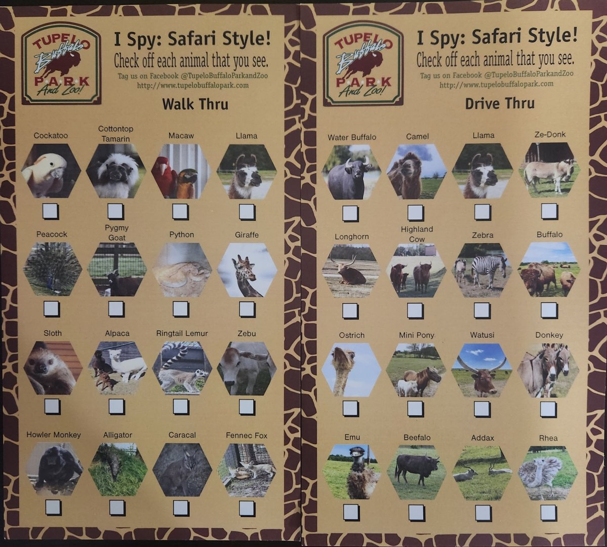 Tupelo Buffalo Park - Checklist