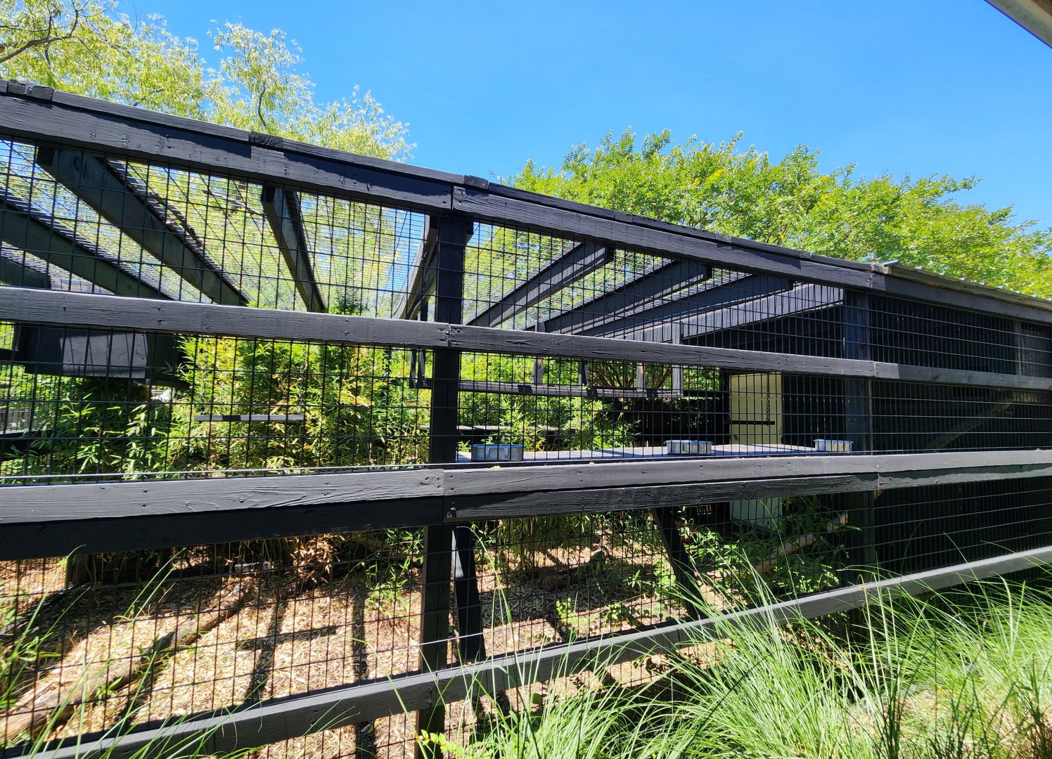 Tupelo Buffalo Park - Coati/Fennec Fox exhibits
