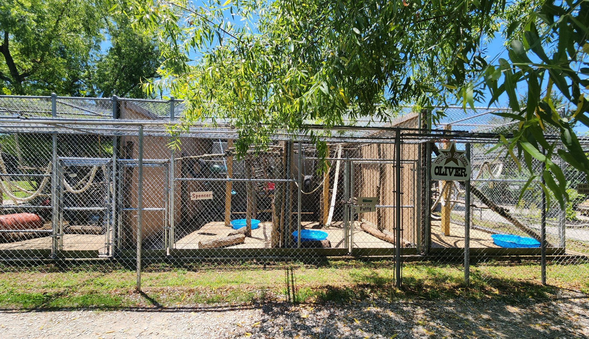 Tupelo Buffalo Park - "Famous monkeys" exhibit row