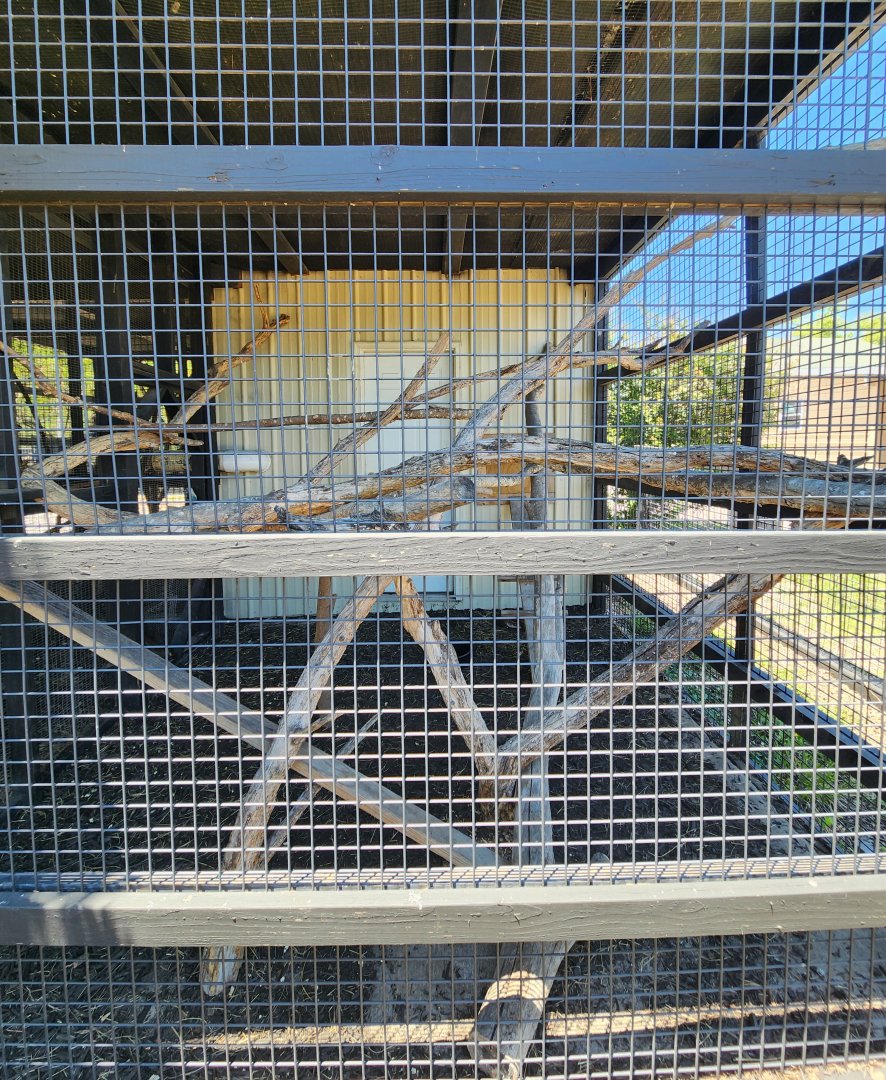 Tupelo Buffalo Park - Golden-handed Tamarin enclosure