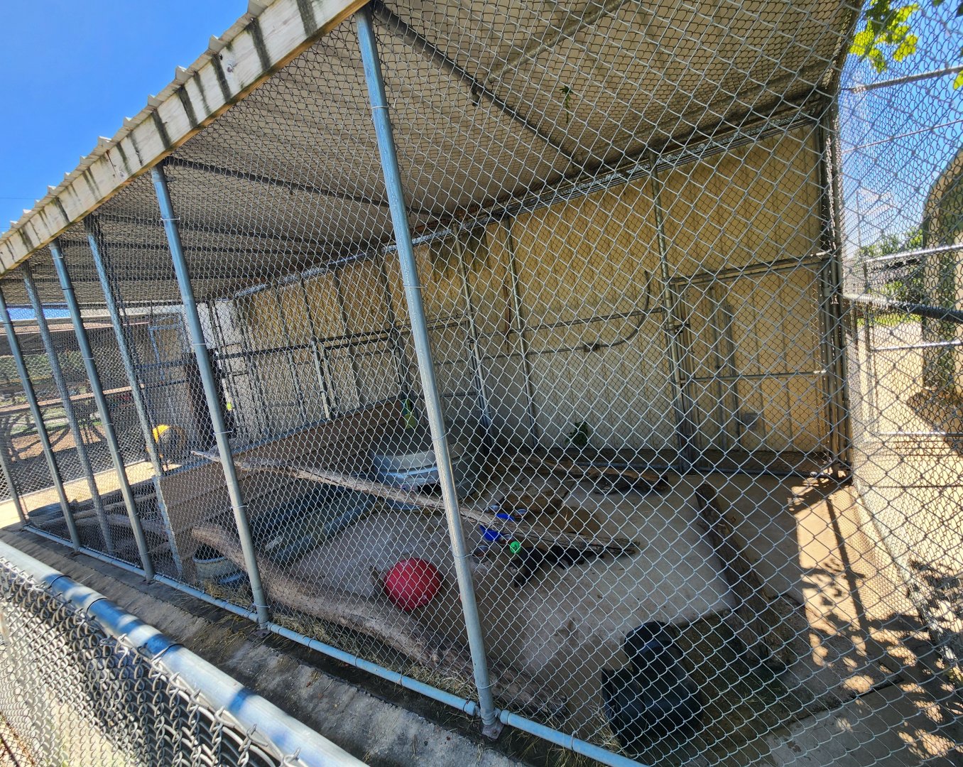 Tupelo Buffalo Park - Otter exhibit