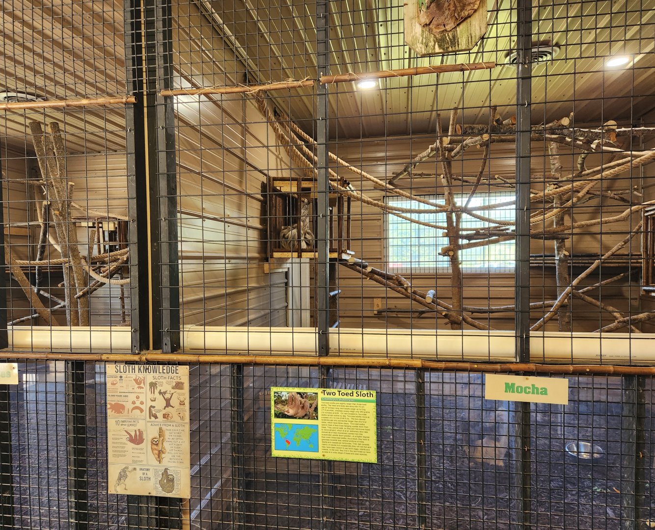 Tupelo Buffalo Park - Sloth enclosure