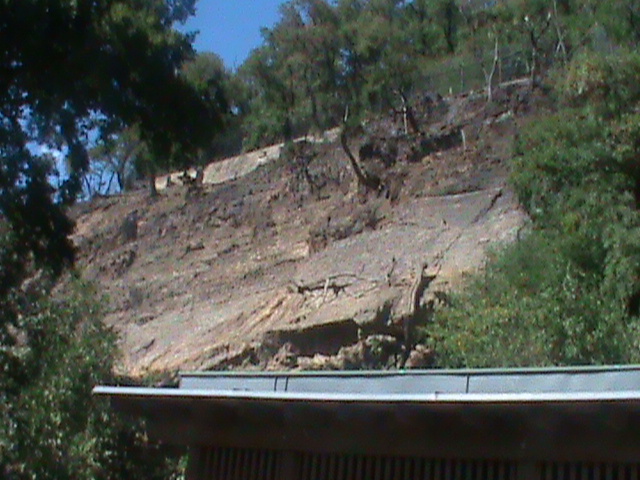 tur enclosure 140911