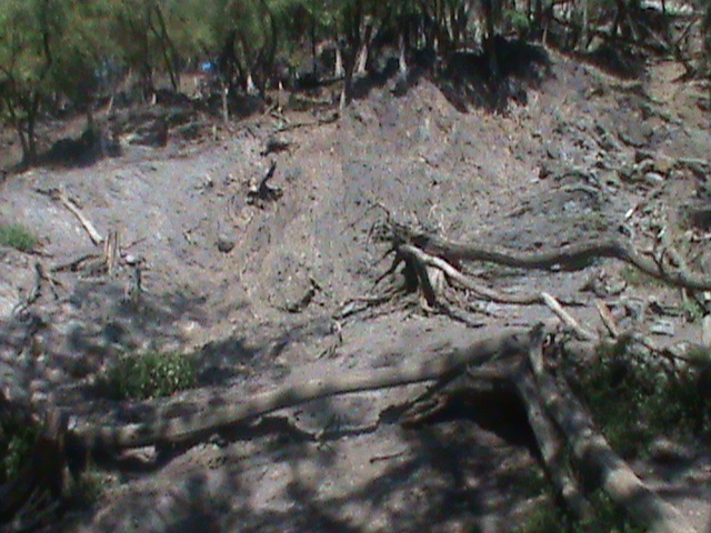 tur enclosure 140911