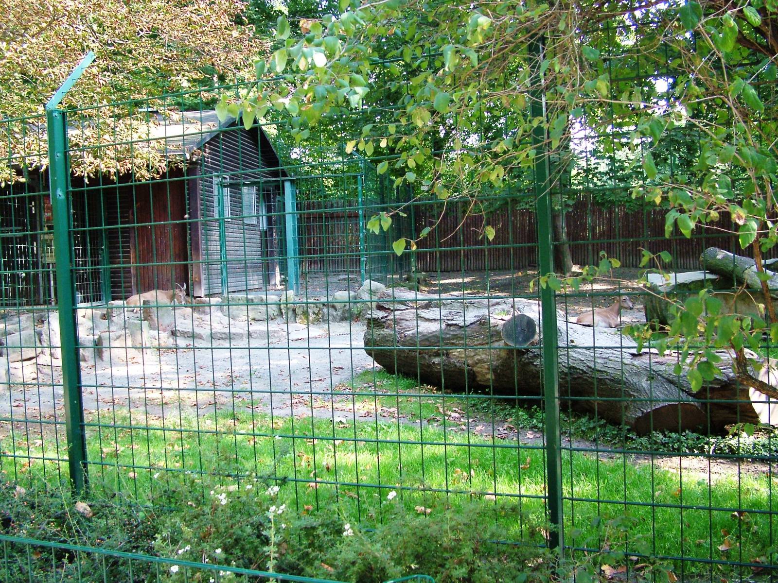 Tur Exhibit at Dresden, 29/08/12