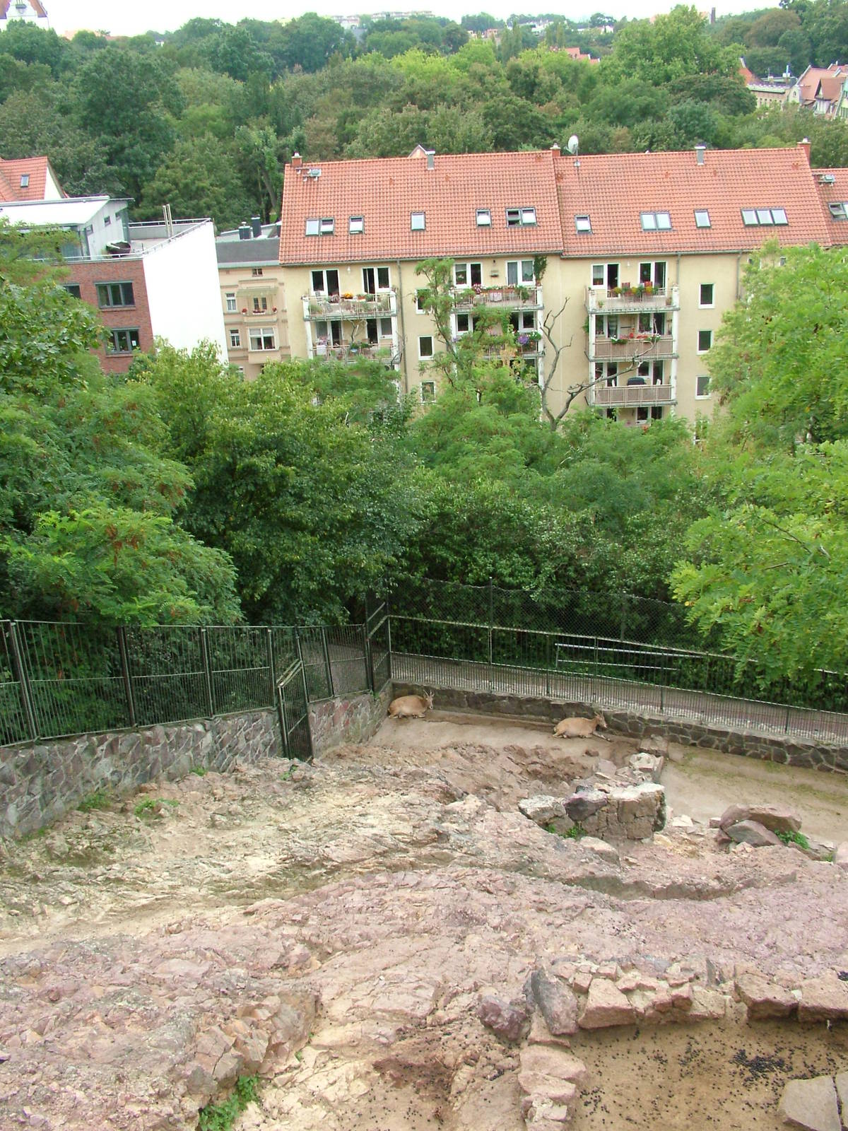 Tur Exhibit at Halle, 04/09/11