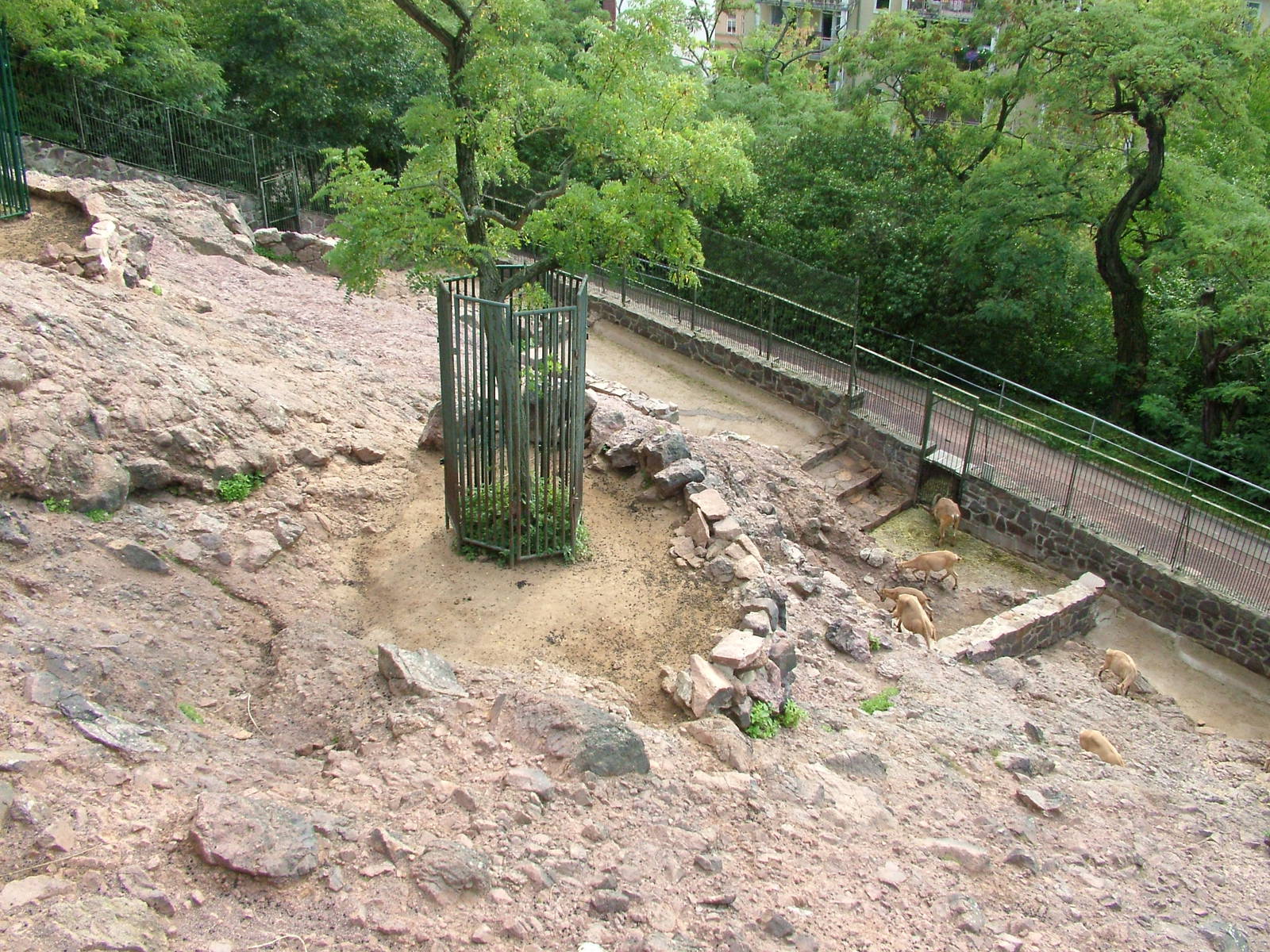 Tur Exhibit at Halle, 04/09/11