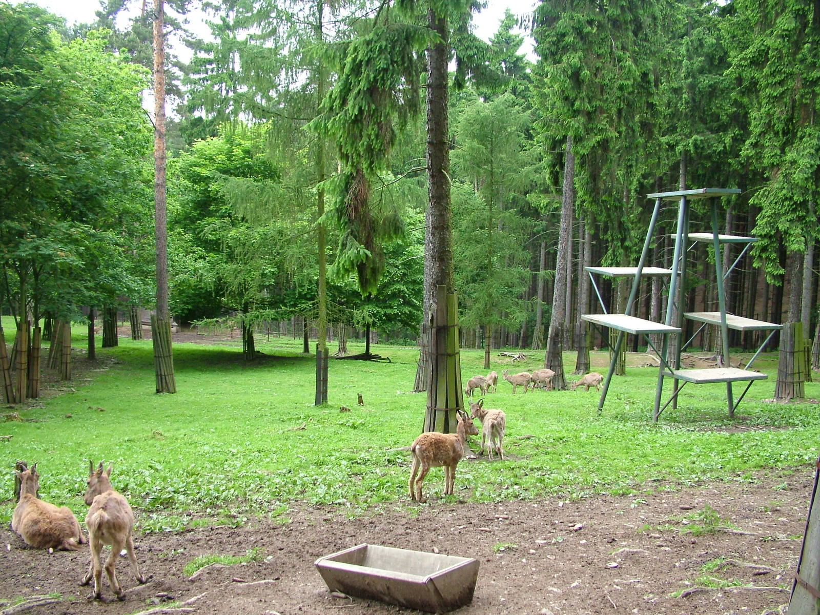 Tur exhibit at Olomouc 30/05/10