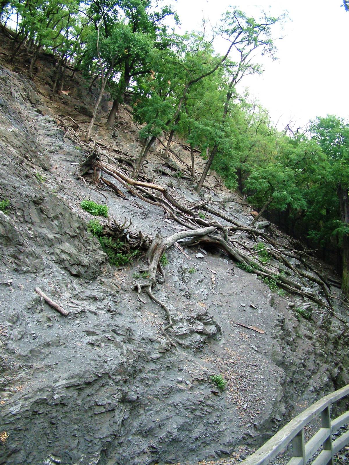 Tur Exhibit at Prague, 25/08/12