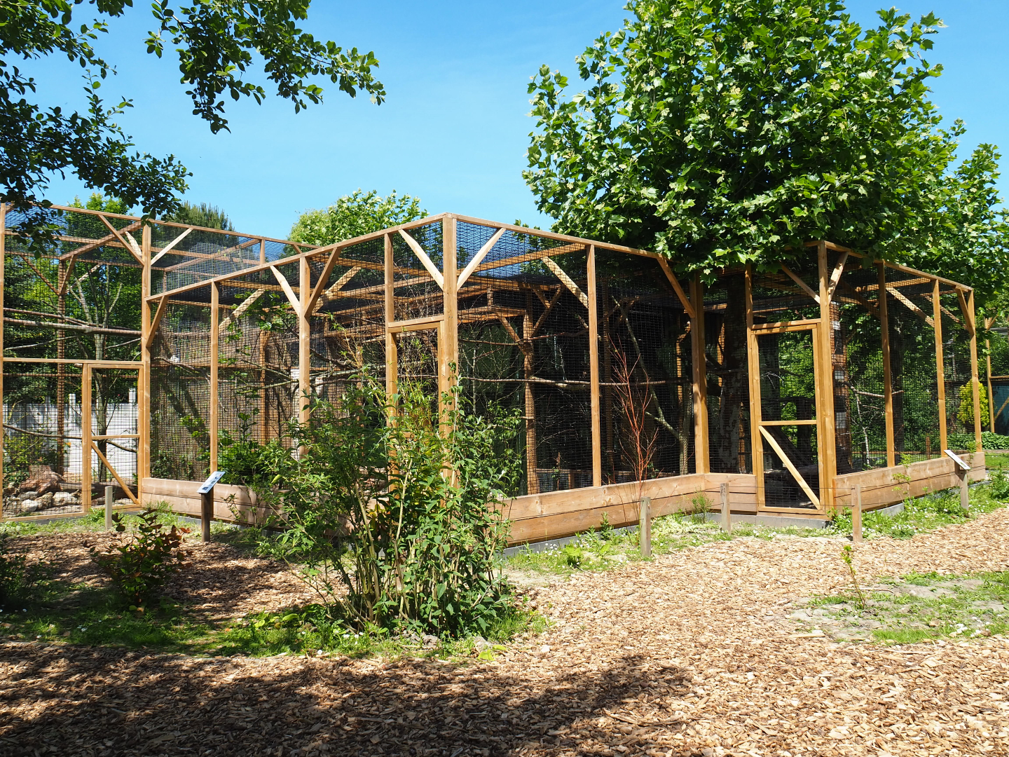 Turaco and hornbill aviaries, 2019-06-01