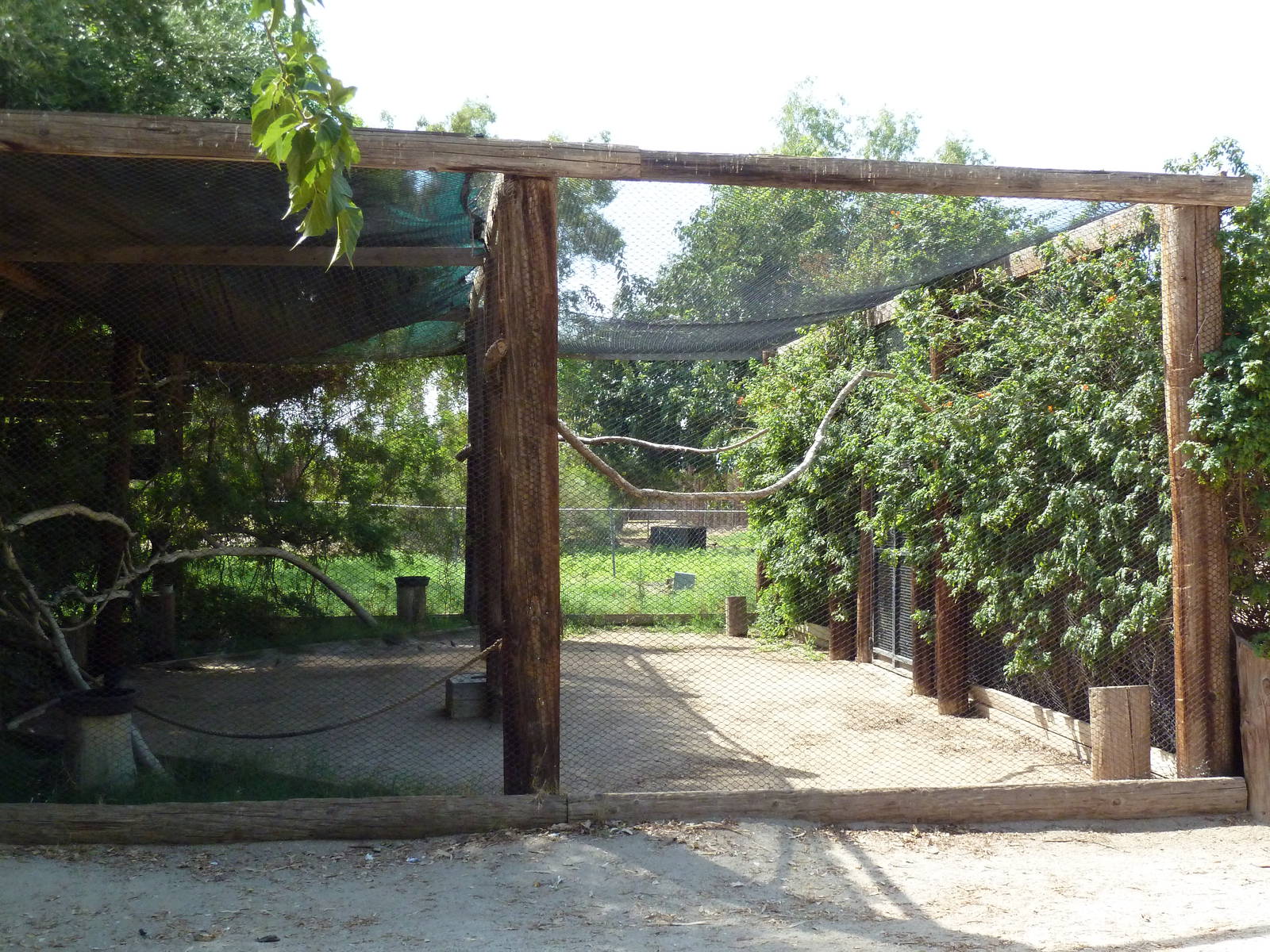Turaco Aviary