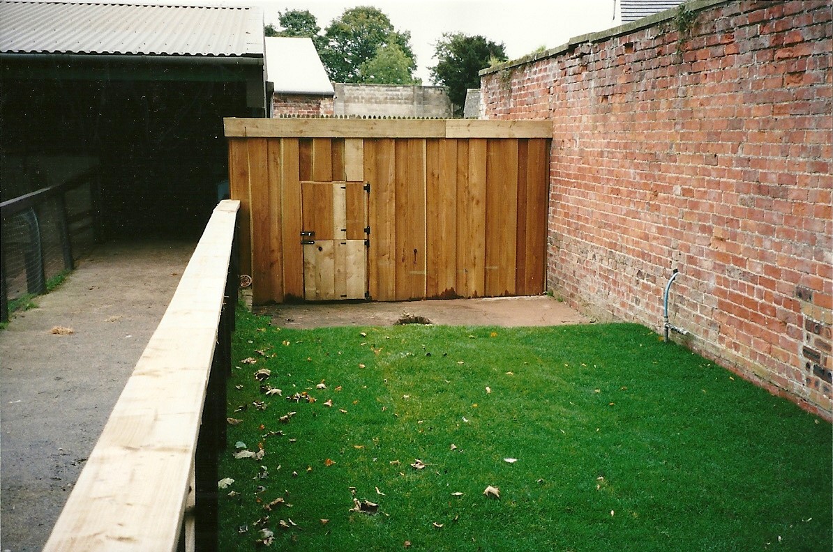 Turfed for African Spurred Tortoises, 14th October 2000