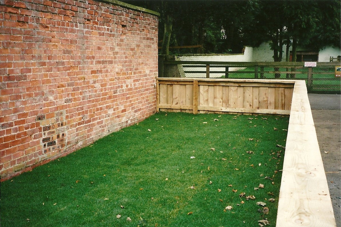 Turfed for African Spurred Tortoises, 14th October 2000